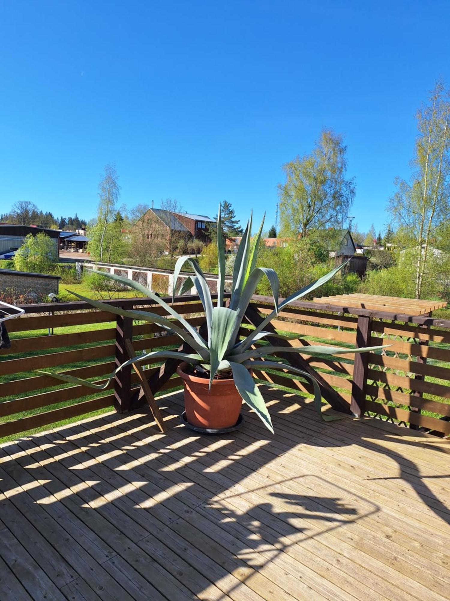 B&B Sandra Aluksne Exterior photo